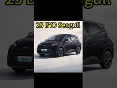 Çinli elektrikli arabalar