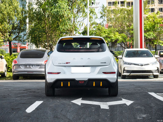 Euler Good Cat GT Çin EV Arabaları 401KM Yardımlı Sürüş Seviye L2