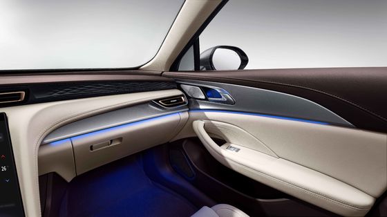 L2 Destekli Sürüşle Çinli Elektrikli 6 Koltuklu MPV