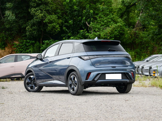 2025 BYD Dolphin, Çin'in en mükemmel küçük elektrikli arabası.